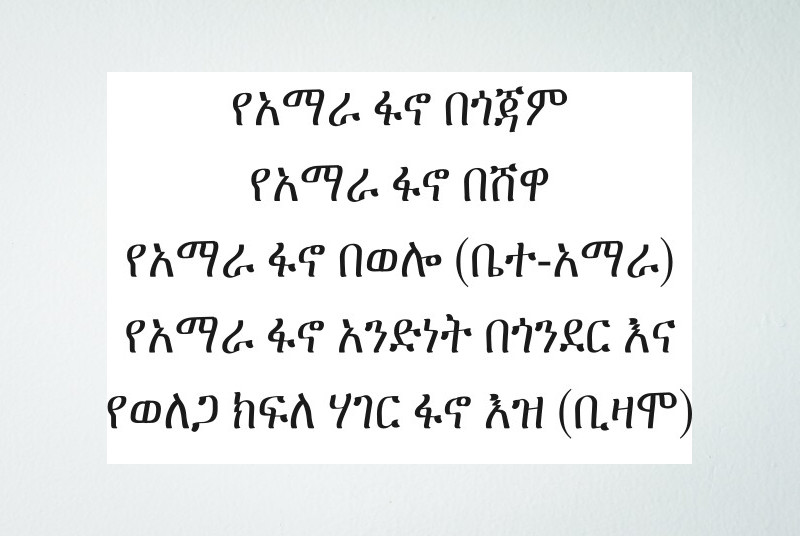 በወቅታዊ ጉዳይ ከአማራ ፋኖ አደረጃጀቶች የተሰጠ መግለጫ